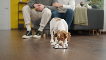 Téléchargez les photos : Deux hommes couple à la recherche de chien à manger à la maison - en image libre de droit