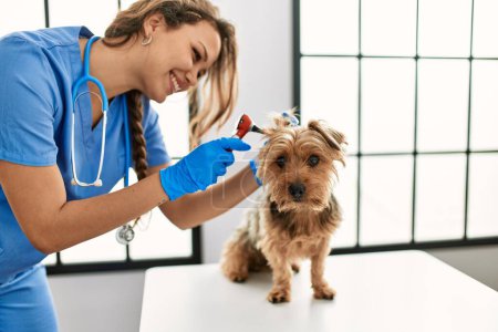 Photo for Young beautiful hispanic woman veterinarian examining dog with otoscope at veterinary clinic - Royalty Free Image