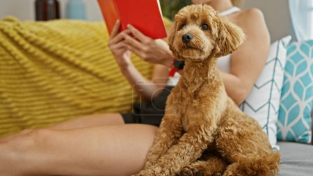 Téléchargez les photos : Jeune femme caucasienne avec livre de lecture de chien assis sur le canapé à la maison - en image libre de droit