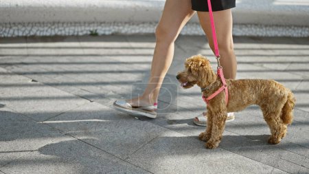 Photo for Young caucasian woman with dog walking at street - Royalty Free Image