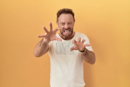 Téléchargez les photos : Homme d'âge moyen avec barbe debout sur fond jaune souriant drôle faisant griffe geste comme chat, expression agressive et sexy - en image libre de droit