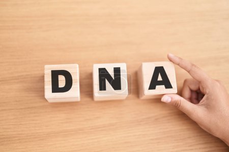Photo for Woman hand holding cubes with dna word on the table - Royalty Free Image