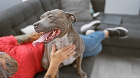 Téléchargez les photos : Scène chaleureuse de la maison d'une femme d'âge moyen, profondément amoureuse de son chien, touchant doucement son animal couché sur le canapé dans leur salon confortable - en image libre de droit