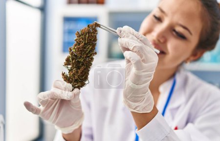 Foto de Young beautiful hispanic woman scientist holding marijuana using tweezer at laboratory - Imagen libre de derechos