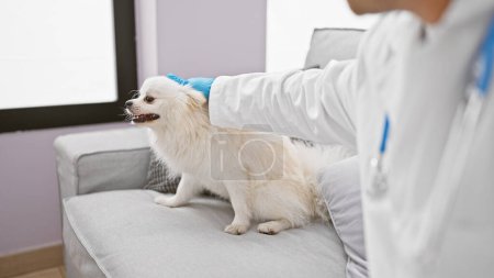 Photo for Caring young caucasian man, a professional vet, examining the health of his cute, sick puppy, sitting at home on the sofa, embodying a warm indoor environment. - Royalty Free Image