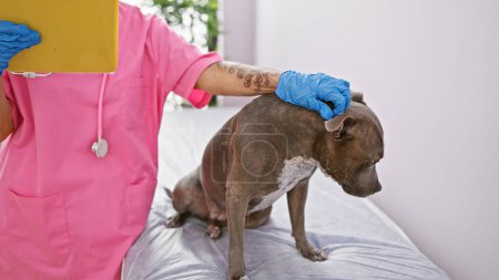 Photo for Middle-aged female vet carefully examining a sick puppy, reading health report on clipboard during medical check at indoor veterinary clinic. - Royalty Free Image