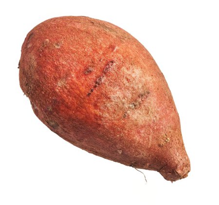 Photo for Isolated sweet potato on white background - Royalty Free Image