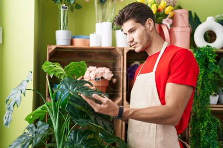 Téléchargez les photos : Jeune homme hispanique fleuriste toucher feuille plante à la boutique de fleurs - en image libre de droit