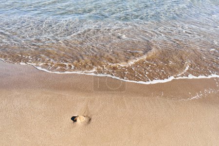 Foto de Una serena escena de playa con agua clara suavemente golpeando sobre arena dorada y una piedra solitaria. - Imagen libre de derechos
