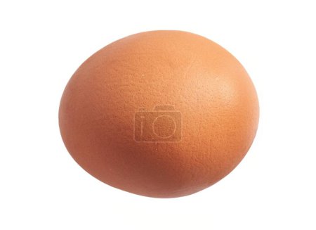 Téléchargez les photos : Gros plan d'un seul œuf de poulet brun isolé sur un fond blanc, représentant la fraîcheur et la nourriture biologique. - en image libre de droit