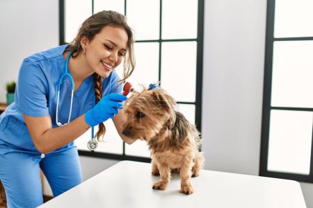 Foto de Joven hermosa mujer hispana veterinario examinando perro con otoscopio en clínica veterinaria - Imagen libre de derechos