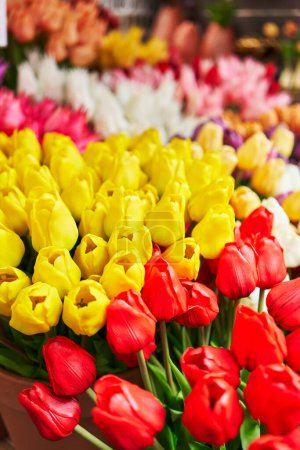 Téléchargez les photos : Bouquet coloré de tulipes jaunes et rouges en pleine floraison sur un marché aux fleurs vibrant. - en image libre de droit