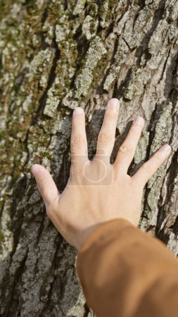 Téléchargez les photos : Gros plan d'une main masculine touchant l'écorce texturée d'un tronc d'arbre à l'extérieur, symbolisant un lien avec la nature. - en image libre de droit
