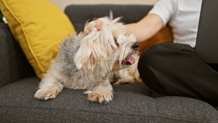 Téléchargez les photos : Une femme caresse son chien assis sur un canapé dans un salon confortable, reflétant la compagnie et un environnement familial détendu. - en image libre de droit