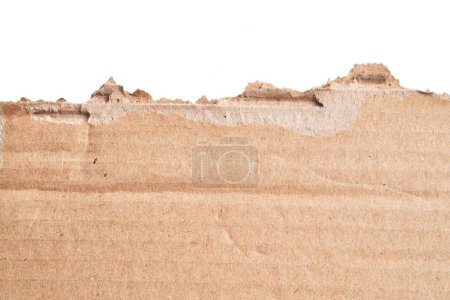 Foto de Una pieza rasgada de material de cartón sobre fondo blanco aislado - Imagen libre de derechos