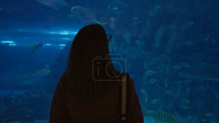 Téléchargez les photos : Vue arrière d'une femme brune observant la vie marine dans un grand aquarium dubai - en image libre de droit