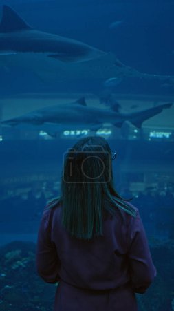 Téléchargez les photos : Une jeune femme regarde les requins dans un aquarium sous-marin faiblement éclairé à Dubai, exprimant crainte et curiosité. - en image libre de droit