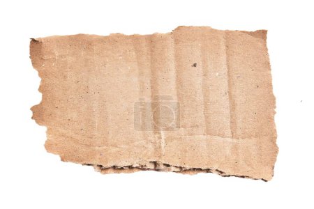Photo for One ripped piece of cardboard material over isolated white background - Royalty Free Image