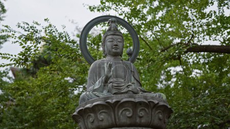 Foto de Una estatua de buda serena con un halo se encuentra entre una exuberante vegetación, que simboliza la paz y la espiritualidad. - Imagen libre de derechos
