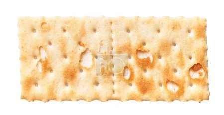 A single crisp cracker isolated on white background, showing its texture and golden brown color.