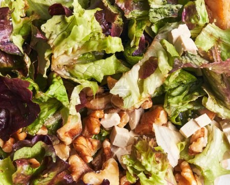 Téléchargez les photos : Gros plan d'une salade fraîche mélangée avec de la laitue, des noix, du fromage et des légumes, suggérant un repas végétarien sain. - en image libre de droit