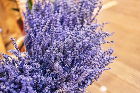Téléchargez les photos : Gros plan de fleurs de lavande violette vibrantes sur un fond flou. - en image libre de droit