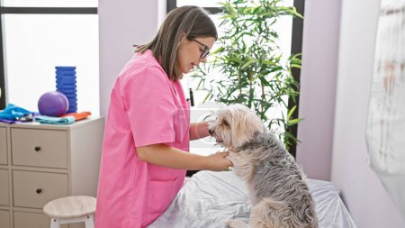 Téléchargez les photos : Une jeune femme hispanique vétérinaire examine un chien moelleux dans une salle de clinique très éclairée, faisant preuve de professionnalisme et de soins. - en image libre de droit