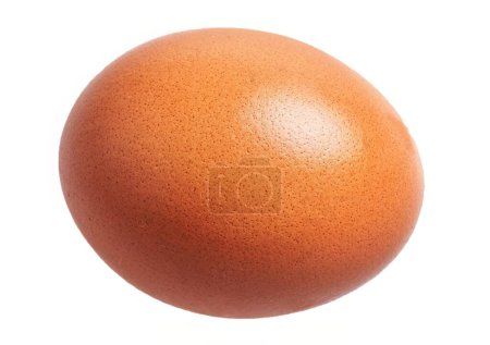 Téléchargez les photos : Gros plan d'un œuf de poulet brun isolé sur fond blanc, montrant la simplicité de la photographie culinaire. - en image libre de droit