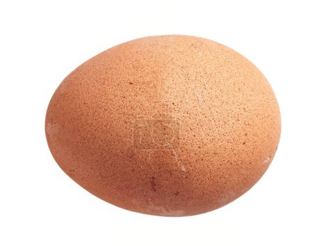 Téléchargez les photos : Gros plan d'un seul œuf de poulet brun isolé sur fond blanc - en image libre de droit