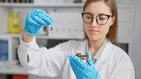 Photo for A focused young woman scientist examining soil samples in a laboratory setting. - Royalty Free Image