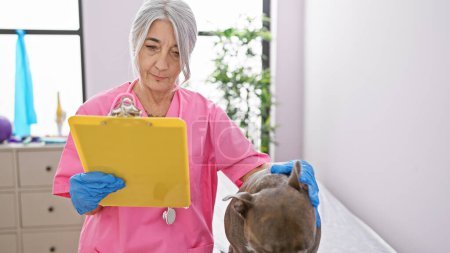 Photo for Professional female veterinarian in middle-age seriously reading medical report on clipboard, while examining senior dog at indoor veterinary clinic amid health check exam - Royalty Free Image