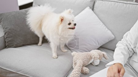 Foto de Cuidando joven hombre caucásico, un veterinario profesional, examinando la salud de su lindo cachorro enfermo, sentado en casa en el sofá, encarnando un ambiente interior cálido. - Imagen libre de derechos