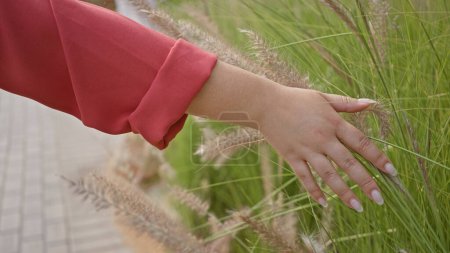 Téléchargez les photos : Gros plan de la main d'une femme touchant de l'herbe haute dans un parc de la ville, incarnant un moment serein en plein air - en image libre de droit