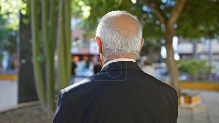 Téléchargez les photos : Portrait décontracté d'un aîné mature aux cheveux blancs debout à l'arrière, regardant le parc verdoyant ; montrant une vue arrière, un reflet du voyage de la vie imprégné de nature - en image libre de droit