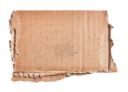 Téléchargez les photos : Un morceau de carton déchiré sur fond blanc isolé - en image libre de droit