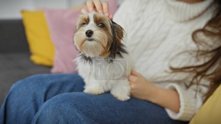Photo for Hispanic woman caresses her biewer terrier inside a cozy living room, showcasing companionship and interior decor. - Royalty Free Image