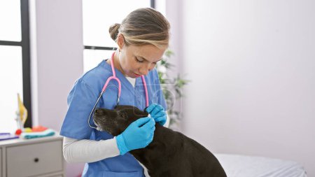 Junge Tierärztin untersucht liebevoll einen Labrador in einer Klinik