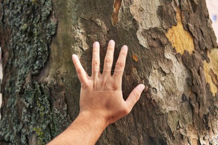 Téléchargez les photos : La main d'un homme touchant doucement la texture rugueuse d'une écorce d'arbre dans un cadre extérieur naturel. - en image libre de droit