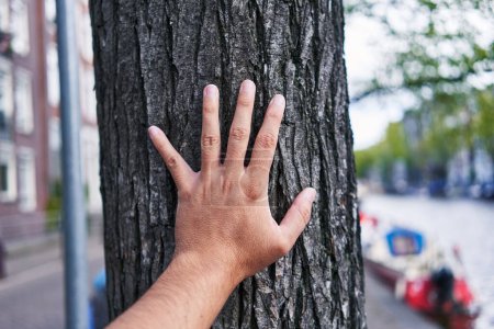 Photo for A man's hand touches the rough bark of a tree in an urban setting with a canal visible in the background. - Royalty Free Image
