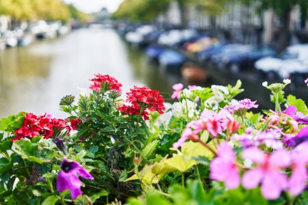 Téléchargez les photos : Fleurs vibrantes en évidence avec un canal d'amsterdam flou et des bateaux amarrés en arrière-plan. - en image libre de droit