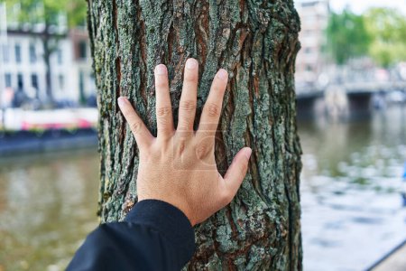 Téléchargez les photos : La main d'une personne touche le tronc d'un arbre près d'un canal de la ville, suggérant un lien avec la nature en milieu urbain. - en image libre de droit
