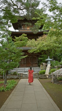 Photo for At the heart of tokyo, a beautiful hispanic woman with glasses takes a casual backward walk away from gotokuji, the famous temple of luck, leaving a striking rear view of her brunette hair - Royalty Free Image