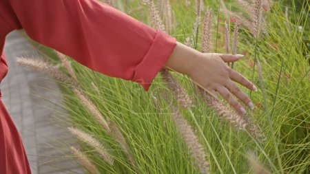Foto de Mujer elegante en rojo explorando hierba verde alta al aire libre, evocando serenidad y conexión con la naturaleza. - Imagen libre de derechos