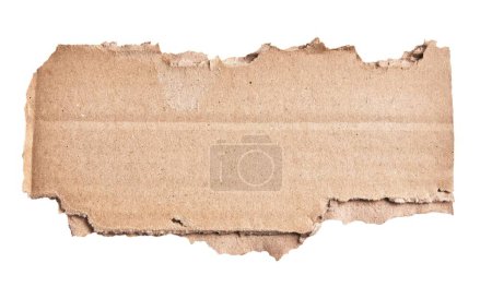 Foto de Una pieza rasgada de material de cartón sobre fondo blanco aislado - Imagen libre de derechos