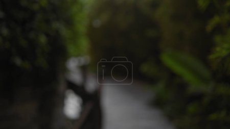 Foto de Sendero borroso del bosque con rico follaje verde, que transmite incertidumbre o busca dirección. - Imagen libre de derechos