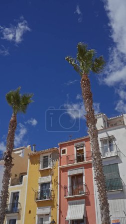Photo for Vibrant spanish buildings and towering palm trees under a clear blue sky in villajoyosa, spain. - Royalty Free Image