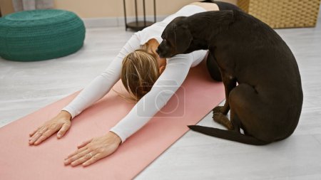 Photo for A young blonde woman stretches on a pink yoga mat indoors with her affectionate black labrador dog in a cozy home. - Royalty Free Image