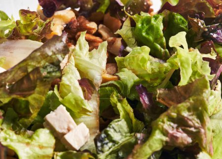 Téléchargez les photos : Gros plan d'une salade fraîche mélangée avec de la laitue, du poulet, des noix et des légumes verts sains, idéale pour les thèmes liés à la nutrition. - en image libre de droit