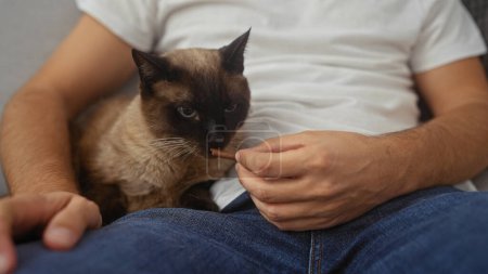 Photo for A man in a casual setting indoors enjoys spending time with his siamese cat, exemplifying a comfortable home atmosphere - Royalty Free Image