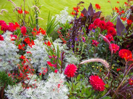 Foto de Detalle de jardín de flores con muchas plantas diferentes - Imagen libre de derechos